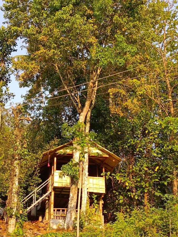 Fab - Bamboo Hut With Open Shower Munnar Exterior photo